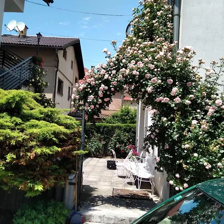 Selma Villa Sarajevo