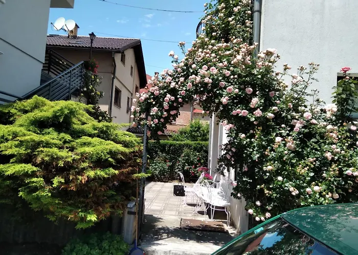 Selma فيلة سراييفو